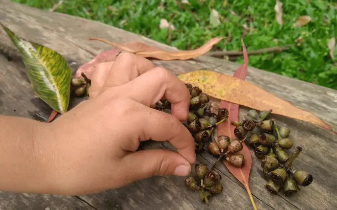 outdoor-education